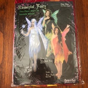 Fairy Costume